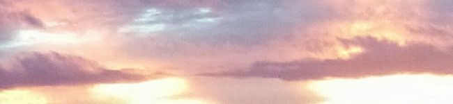 みゆぽんﾊｲﾊﾟｰ's header image