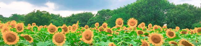 かなつん☆☆☆'s header image