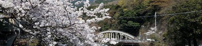 けんち578's header image