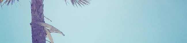 ｷｯﾁﾝIN♡UsA's header image