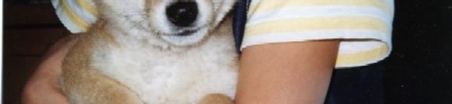 ぽちくん♂'s header image