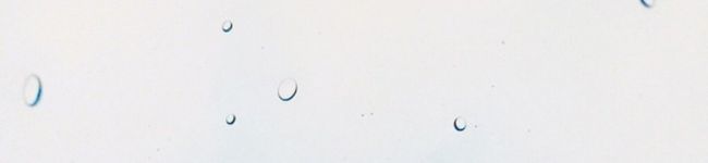 ∞suisai∞'s header image