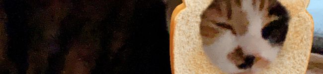 cook3214's header image