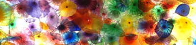ｊｏｃｏｍｏｍｏｌａ's header image