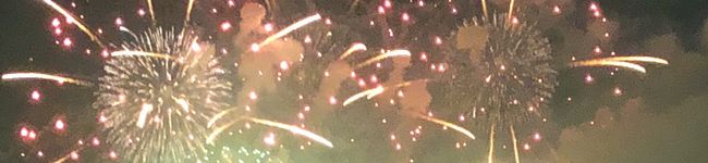 MisaFujii's header image