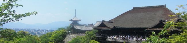 みどころ's header image