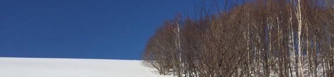 いのいのゆ〜みんぐ♬'s header image