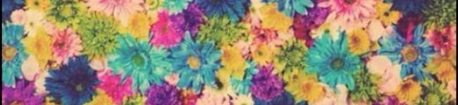 julielette's header image