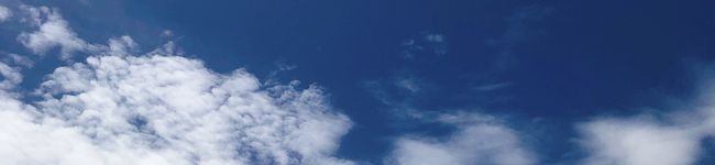 ☆MiMoSe☆'s header image