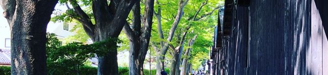 管理栄養士⌘マリ's header image