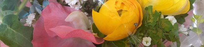 ４mamaMS's header image