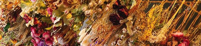 erykah☆★'s header image