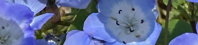 クックふわゆき's header image