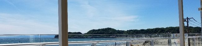 mike311's header image