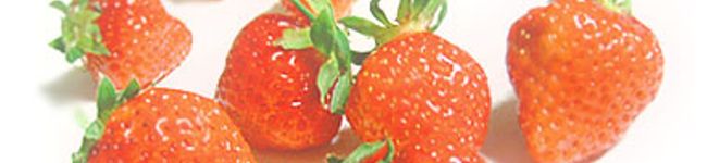 みーtan's header image