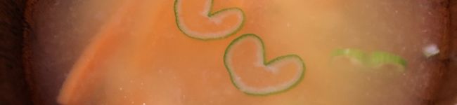 sorashidon's header image