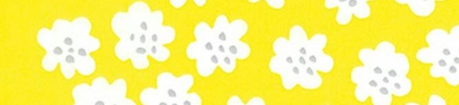 cokichi's header image