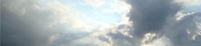 つっちーの嫁's header image