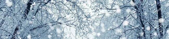 父の創作料理's header image