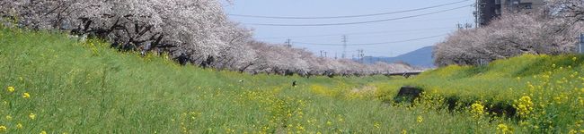 翡翠０３１８'s header image