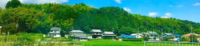 クックM0KTTU☆'s header image