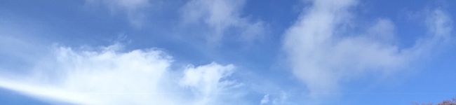 烏龍茶梅's header image