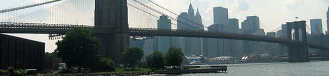 NYC　めぐ's header image