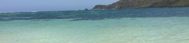 Lazycatxx's header image