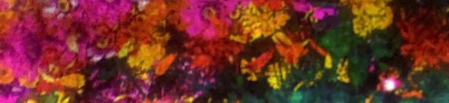 はびろ's header image