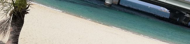 ☆megboo☆'s header image