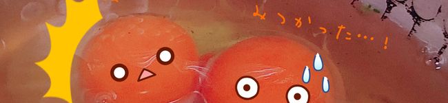 カクザトー's header image