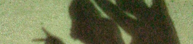 KOTOMIl's header image