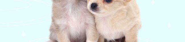 クリーム色。's header image
