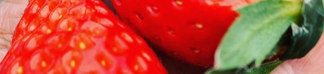 マリン✨'s header image