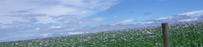 tasmania's header image