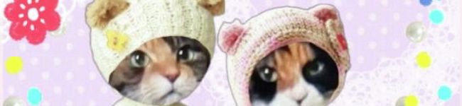 弥禄＆初音's header image