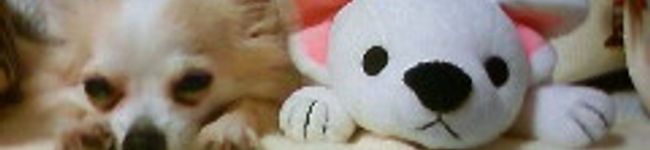 つばまき's header image