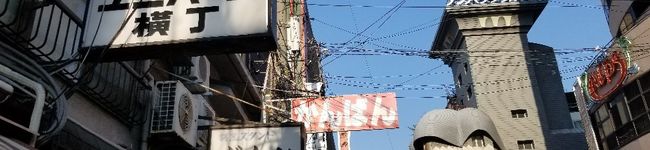 hysn244's header image