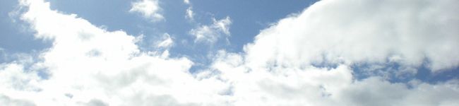 くろ☆ねこ's header image