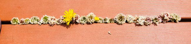 クックLY93PM☆'s header image