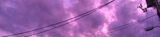 水雅小町's header image