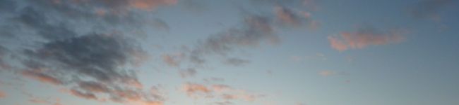 risu2008's header image