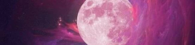 料理のできる整体師's header image