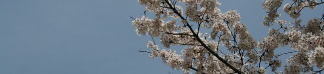 しぃ＆あい's header image
