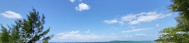 はなはな桜's header image