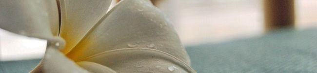 kinoco37's header image