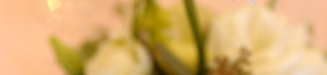 zougame_k's header image