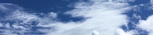まんまるな顔の女's header image