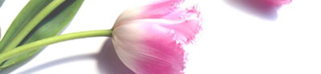 cちょこc's header image