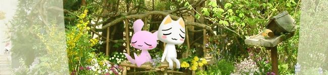minirabi's header image